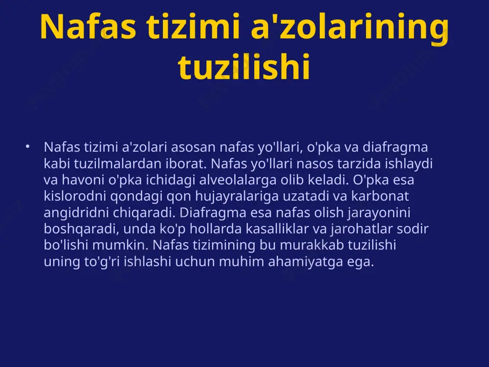 nafas tizimi a'zolari rentgenologik sindromlari - Page 5