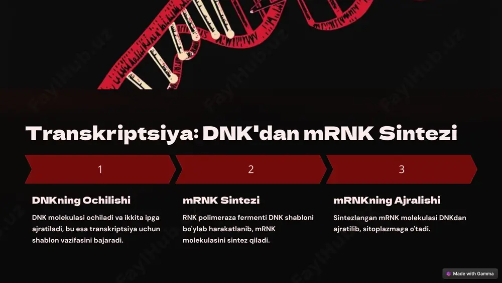 larda bioteknologik usullarga nisbatan arzonroq va samaraliroq bo'lishi mumkin. 3.atrof-muhit va bioxavfsizlik xavflari: biosintez jarayonlarida qo'llaniladigan mikroorganizmlar yoki boshqa biologik tizimlar ba'zi atrof-muhit xavf-xatarlarini keltirib chiqarishi mumkin, masalan, qo'ziqorinlar yoki bakteriyalarni nazorat qilishdagi muammolar. xulosa: oqsil biosintezi jarayoni biotexnologiya va ilmiy tadqiqotlar sohasida katta imkoniyatlar yaratadi. biroq, uning samaradorligi va ommaviy ishlab chiqarilishi uchun bir qator texnologik, iqtisodiy va ijtimoiy qiyinchiliklar mavjud. yuqori samarali va ekologik toza ishlab chiqarish usullariga erishish bu jarayonni yanada takomillashtirishga yordam beradi. e’tiboringiz uchun raxmat ! image1.png image2.png image3.png image4.png image5.png image6.png image7.png image8.png image9.png image10.png image11.png image12.png image13.png image14.png image15.png image16.png image17.png image18.png