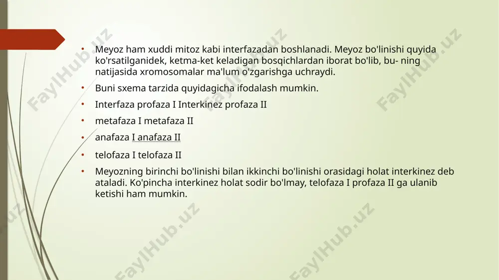 meyozning biologik ahamiyati - Page 4