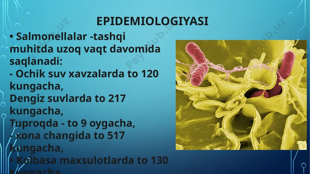 salmonellosis kasalligi - Page 5