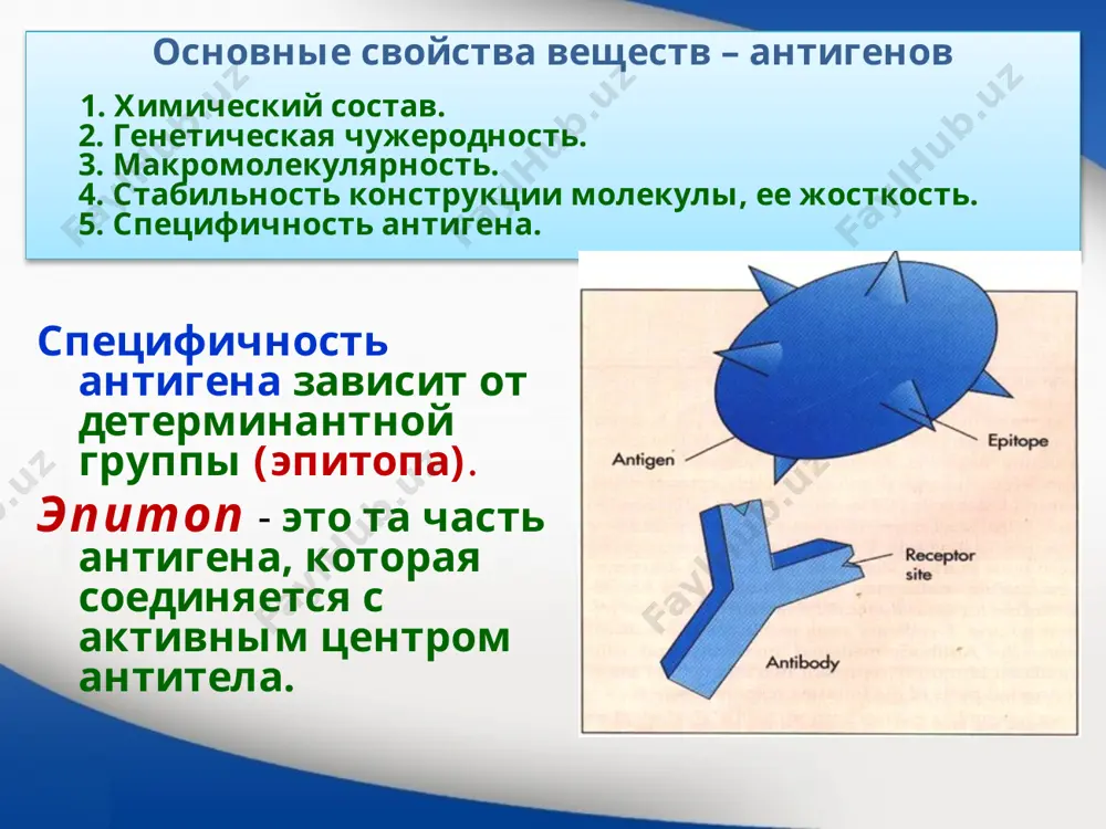 нний фактор болезнь бехтерева b27 89 9 неизвестный зоб хашимото dr3, dr5 51 24 тироглобулин ювенильный диабет dr3, dr4 72 24 инсулиновый рецептор, тирозин-фосфатаза іа ревматоидный артрит dr7, dr21 59 21 коллаген, fc –фрагмент ig нарколепсия dr2 100 34 неизвестный синдром гудпасчура dr2 88 29 коллаген базальной мембраны почеч- ных клубочков 19 целый ряд веществ самостоятельно не могут вызывать иммунный ответ, но если они свяжутся с високомолекулярными белковыми носителями, то такую способность они приобретают. эти вещества получили название неполноценных антигенов или гаптенов. это вещества малой молекулярной массы: антипирин, динитро- фенол, арсенилаты, а также более сложные субстанции: некоторые бактериальные полисахариды, туберкулин, днк, рнк, липиды. медикаментозные реакции. многообразные фармакологические препараты и продукты их деградации могут связываться с тканями и клетками организма и тем самым из гаптенов превращаются в полноценные антигены, которые индуцируют синтез антител, которые реагируют с ними. часто это происходит на поверхности форменных элементов крови. к образованному комплексу антитело антиген присоединяется …