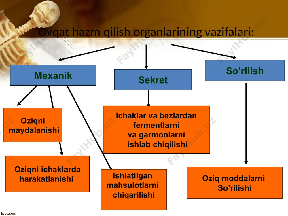 ovqatxazmqilish sifati va xususiyatlari - Page 5