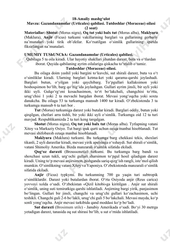oshlar (moraceae) oilasi. bu oilaga doim yashil yoki bargini to‘kuvchi, sut shirali daraxt, buta va o‘t o‘simliklar kiradi. ularning barglari ketma-ket yoki qarama-qarshi joylashadi. barglari butun, o‘yilgan yoki qaychibarg. to‘pgullari kallaksimon yoki boshoqsimon bo‘lib, barg qo‘ltig‘ida joylashgan. gullari ayrim jinsli, bir uyli yoki ikki uyli. gulqo‘rg‘oni kosachasimon, to‘rt bo‘lakchali, changchisi to‘rtta, urug‘chisi 1 yoki 2 ta mevachi bargdan iborat. mevasi yong‘oqcha yoki soxta danakcha. bu oilaga 53 ta turkumga mansub 1400 tur kiradi. o‘zbekistonda 3 ta turkumga mansub 6 ta turi bor . tut (morus) turkumiga daraxt yoki butalar kiradi. barglari oddiy, butun yoki qirqilgan, chetlari arra tishli, bir yoki ikki uyli o‘simlik. turkumga oid 12 ta turi mavjud. respublikamizda 2 ta turi keng tarqalgan. shotut (morus nigra), oq tut yoki balx tut (morus alba). tytlapning vatani xitoy va markaziy osiyo. tut bargi ipak qurti uchun oziqa manbai hisoblanadi. tut mevasi shifobaxsh ozuqa manbai hisoblanadi. maklyura (maklura) turkumi. bu turkumga …