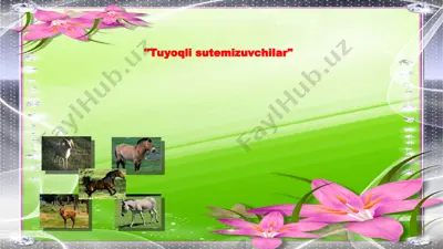 tuyoqli sutemizuvchilar — PPT