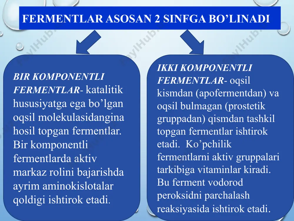 mentlar. 6.izomerazalar – izomerlanish reaksiyalarini ta’minlovchi fermentlar. ular molekulalar orasidagi ko’chish, oksidlanish - qaytarilish , kimyoviy boglanishni qayta taqsimlanishi hisobiga, kimyoviy birikmalarning fazoviy izomerlanish reaksiyalarini katalizlovchi ferment. mikroorganizmlardan fermentlar ishlab chiqarish fermentlar manbai xayvon to‘qimalari, o‘simliklar xujayralari va mikroorganizmlar bo‘lishi mumkin. xozirgi zamonda ikki mingdan ortiq fermentlar borligi aniqlangan, ulardan bir necha yuztasi aloxida modda sifatida toza xolda ajratib olingan. mikroorganizmlar fermentlar ishlab chiqaruvchi manba sifatida aloxida qiziqish uyg‘otadi, chunki ular arzon muxitda tez o‘sadilar. ishlatiladigan ozuqa tarkibiga qarab, kerakli fermentni, xoxlagancha tayyorlash imkoniyatini beradilar. buning ustiga ko‘pgina mikroorganizmlar fermentlarni o‘z xujayra qobiqlaridan tashqariga chiqaradilar, bu esa mikroorganizmlardan yanada faolroq foydalanish imkoniyatini yaratadi. metabolizmning katta intensivligidan tashqari mikroorganizmlar biomassasini o‘sish tezligi juda kattadir. bu qisqa vaqt orliqida ayrim vaqtlari 24-72 soat ichida ferment ajratish uchun juda katta miqdorda xam-ashyo olish mumkin, uni xayvon va o‘simlik xom ashyolari bilan solishtirib bo‘lmaydi. ko‘plab mikroorganizmlarning muxim xususiyatlaridan yana biri ular ozuqa sifatida xar …
