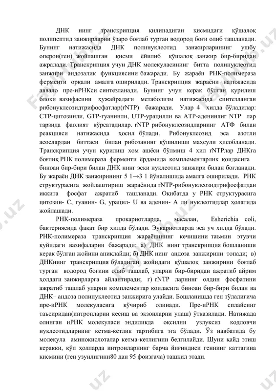 ogenga ega nukleotidlar (ekzonlar) va kodogensiz nukleotidlar (intron)lar kodi ketma-ket joylashgan bo'ladi. eukariotlarda strukturaviy va funktsional normal irnk ning sintezlanishini ta'min etadigan jarayonida– splaysing va protsessing sodir bo'ladi. yuqorida bayon etilganlarni e'tiborga olgan holda eukariotlardagi irnk molekulasining sintezi quyidagi jarayonlar natijasida amalga oshishi bilan tanishamiz: dnk ning transkriptsiya qilinadigan qismidagi qo'shaloq polipeptid zanjirlarni o'zaro bog'lab turgan vodorod bog'i olib tashlanadi. buning natijasida dnk polinukleotid zanjirlarining ushbu operon(gen) joylashgan qismi yoyilib qo'shaloq zanjir bir-biridan ajraladi. transkriptsiya uchun dnk molekulasining bitta polinukleotid zanjiri andozalik funktsiyasini bajaradi. bu jarayon rnk-polimeraza fermenti orqali amalga oshiriladi. transkriptsiya jarayoni natijasida avvalo pre-irnksi sintezlanadi. buning uchun kerak bo'lgan qurilish bloki vazifasini hujayradagi metabolizm natijasida sintezlangan ribonukleozidtrifosfatlar(rntp) bajaradi. ular 4 xilda bo'ladilar: str-tsitozinli, gtp-guaninli, utp-uratsilli va atr-adeninlir ntp lar tarzida faoliyat ko'rsatadilar. rntp ribonukleozidlarning atf bilan reaktsiyasi natijasida hosil bo'ladi. ribonukleozid esa azotli asoslardan bittasi bilan ribozaning qo'shilishi mahsuli hisoblanadi. transkriptsiya uchun qurilish xom ashyosi bo'lmish 4 xil …