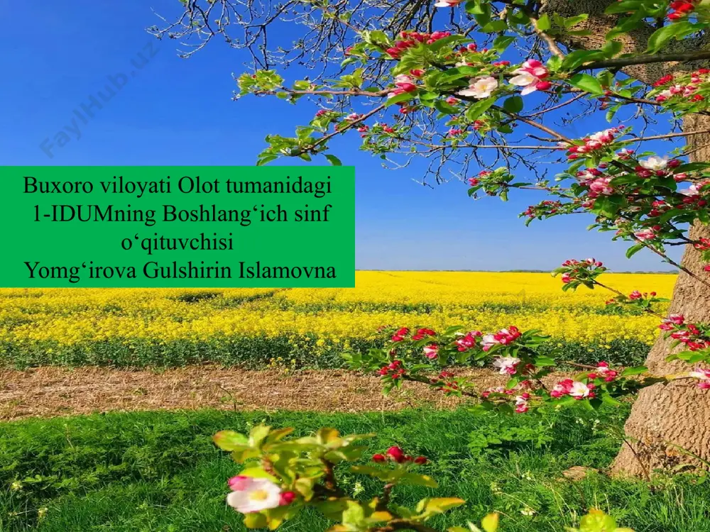 idumning boshlang‘ich sinf o‘qituvchisi yomg‘irova gulshirin islamovna - Page 2