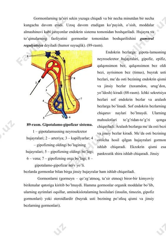 nuviga ta’sir etadi. 6 tireotrop gormon gipofizning oldingi bo’lagi qalqonsimon bezning o’sishi va tiroksin gormonining sintezini stimullaydi. 7 aktg (adrenokortikotrop gormon) gipofizning oldingi bo’lagi buyrak usti bezining po’stloq qismining o’sishini va unda gormon-larning sintezini kuchaytiradi. 8 gonadotrop gormonlar: fsg (follikulalarni stimulovchi gormon) gipofizning oldingi bo’lagi ovogenez va spermatogenez jarayon-larini boshqaradi. 9 lg (lyuteinlovchi gormon) gipofizning oldingi bo’lagi tuxumdonda estrogen va proge-steronning, urug’donda testesteron-ning hosil bo’lishini va ajralishini boshqaradi. 10 ltg (lyuteotrop ya’ni prolaktin gormoni) gipofizning oldingi bo’lagi tuxumdonlardan estrogen va progesteronning sekretsiyasini, sut bezlaridan sut hosil bo’lishini kuchaytiradi. onalik instinktini boshqaradi. 11 intermedin gipofizning o’rta bo’lagi terida melanin pigmentining sintezini boshqaradi. 12 tiroksin qalqonsimon bez asosiy modda almashinuvning jadalligini oshiradi. (oksidlash jarayonini kuchaytiradi) 13 tireokaltsitonin qalqonsimon bezning parafollikulyar hujayralari kalsiy va fosfor almashinuvini boshqaradi. 14 paratgormon qalqonsimon bez oldi bezi kalsiy va fosfor almashinuvini boshqaradi. 15 timozin timus (ayrisimon bez) gipofizning gonadotrop funksiyasini susaytiradi. yosh bolalarning o’sishiga ijobiy ta’sir etadi. …