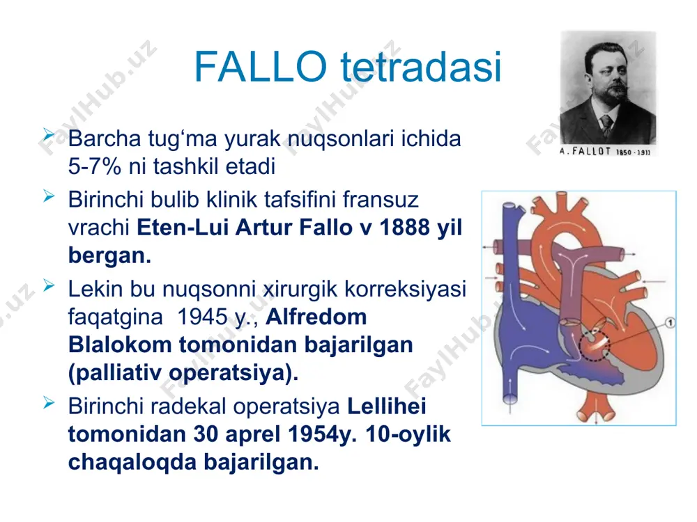 perikard kasalliklari - Page 5