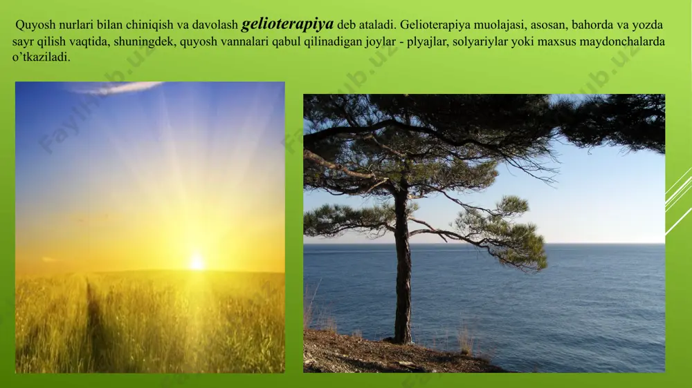 am umuman zaiflashib, madori qurib qolganda, og’ir formadagi silda, qon tuflashga moyillik bo’lganda bu vannalarni buyurib bo’lmaydi. sil bilan og’rigan bemorlar davolanadigan sanatoriylarda doim toza havodan bahramand bo’lishga katta ahamiyat beriladi. palatalar kecha-kunduz shamollatib turiladi, isitmasi yo’q bemorlar havo yaxshi bo’lib turganda ko’p vaqtini bog’da, daraxtzorda o’tkazishadi, kuniga 1-2 martadan uzoq-uzoq (1,5-2 soatgacha) sayr qilib yurishadi. oftobdan soya maydonchalarda ochiq havoda o’ynaladigan o’yinlar tashkil qilinadi (kroket, voleybol va boshqalar). ba'zi sanatoriylarda mehnat jarayonlari ham havoda o’tkaziladi. quyosh va havo vannalari muolajasini o’tkazish tartibi. i. quyosh vannalarini. 1. davo kursini dozalash va uning qancha davom etishi kasallikning xarakteri, hamda bemorning quyosh radiatsiyaga qanday reaksiya ko'rsatishga bog'liq. 2. quyosh vannasidan oldin 10 minut davomida havo vannasi olinadi. 3. quyosh vannalari 5 minut dan boshlanadi. (badanning oldingi va orqa yuzasiga 2/2minutdan) har kuni 5 minutdan qo'shib boriladi. 4. vannalar muddati bir soatga yetkaziladi. 5. davo kursiga 30-40 ta vanna to'g'ri keladi. ii. havo …
