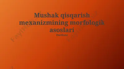 mushak qisqarish mexanizmining morfologik asoslari — PPTX