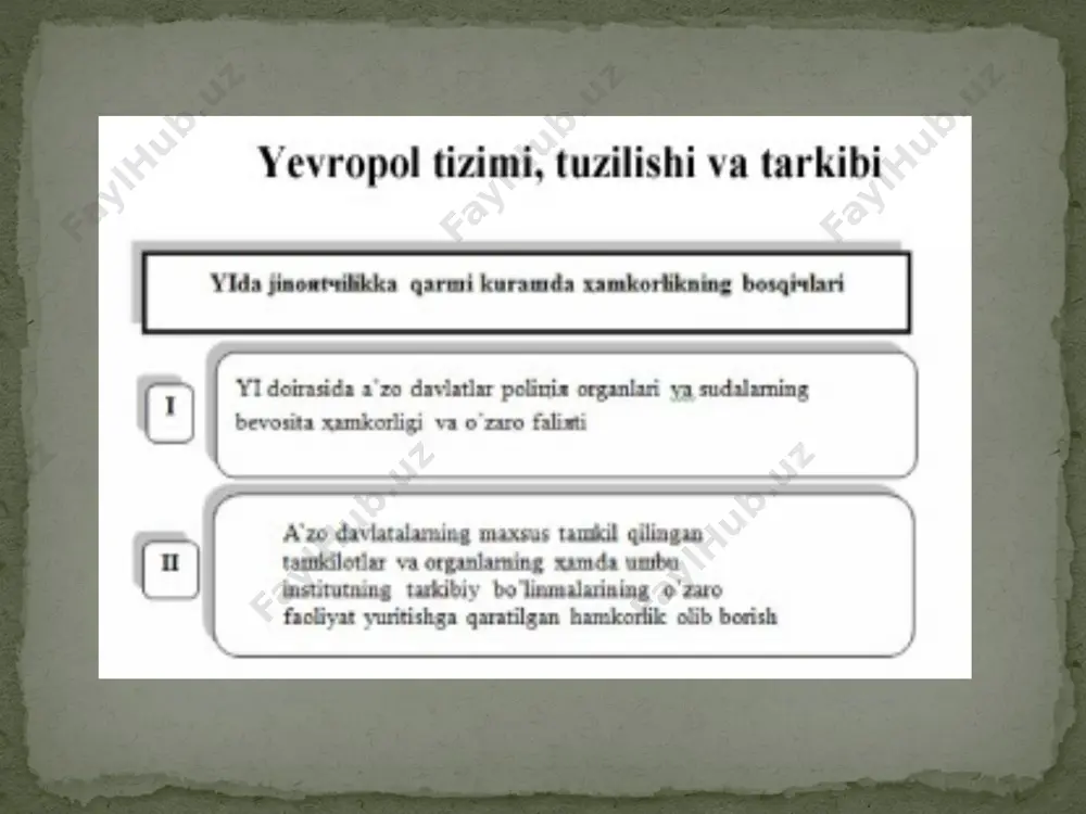 yevropa ittifoqidasud va politika hamkorligi-yevropol - Page 4