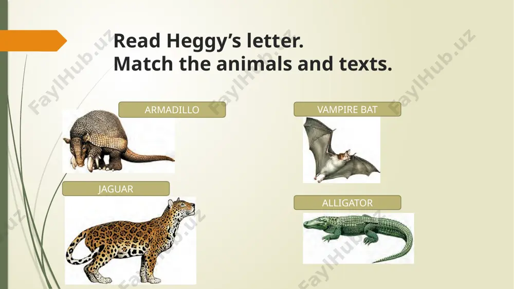wildanimal play - Page 4