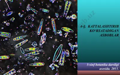 kattalashtirib ko‘rsatadigan asboblar. 5 - sinf — PPT
