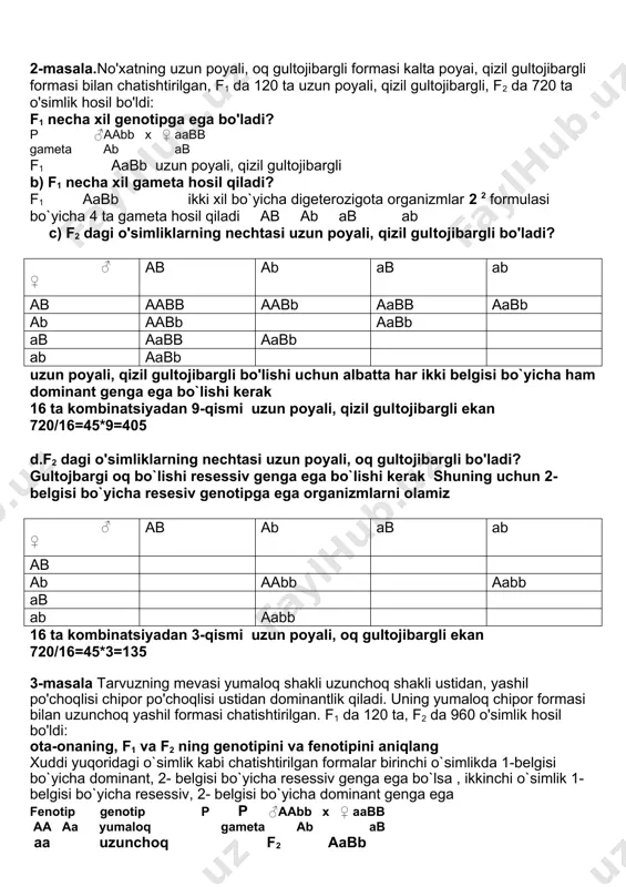 ingan. chatishtirishda ishtirok etgan ota-ona formalarning genotipini aniqlang. genotip fenotip p ♂ssyy x ♀ ssbb ss ss shox cheklangan ♂ ♀ sy sy sy sy sy ssyy ssyy ssyy ssyy fenotip cheklan magan sariq limon cheklan magan och sariq cheklangan sariq limon cheklangan och sariq ss shox cheklanmagan yy yy sariq-limon yy och-sariq 2-masala.no'xatning uzun poyali, oq gultojibargli formasi kalta poyai, qizil gultojibargli formasi bilan chatishtirilgan, f1 da 120 ta uzun poyali, qizil gultojibargli, f2 da 720 ta o'simlik hosil bo'ldi: f1 necha xil genotipga ega bo'ladi? p ♂aabb x ♀ aabb gameta ab ab f1 aabb uzun poyali, qizil gultojibargli b) f1 necha xil gameta hosil qiladi? f1 aabb ikki xil bo`yicha digeterozigota organizmlar 2 2 formulasi bo`yicha 4 ta gameta hosil qiladi ab ab ab ab c) f2 dagi o'simliklarning nechtasi uzun poyali, qizil gultojibargli bo'ladi? ♂ ♀ ab ab ab ab ab aabb aabb aabb aabb ab …