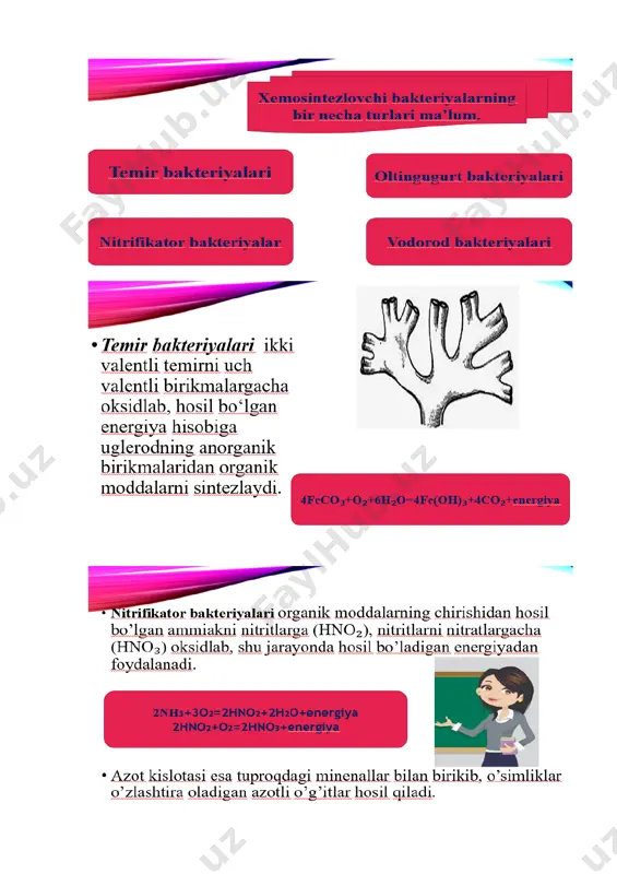 xemosintez - Page 4