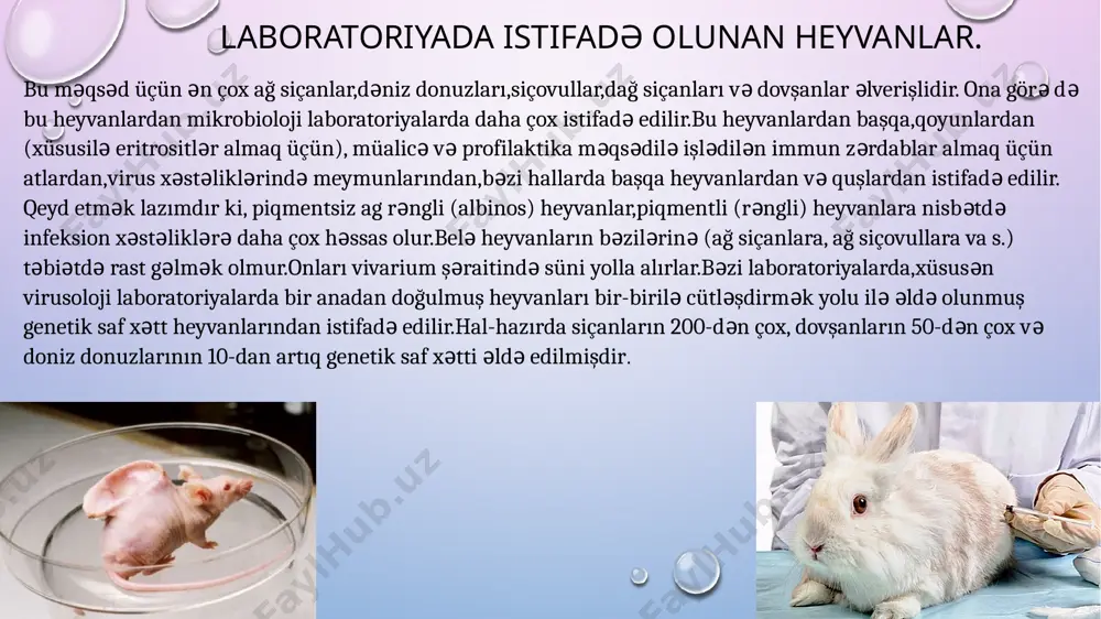 ən sonra avtoklavda sterilizasiya edilir. heyvan cəsədləri̇ni̇n təşri̇hi̇ ağ siçanın cəsədinin təşrih olunması heyvanda təşrihlər patogenlik və virulentliyin təyini patogen mikrobların ayrı-ayrı xüsusiyyətləti öyrənilərkən,ilk növbədə onların virulentliyi(patogenliyin dərəcəsi)təyin edilir.xəstələrdən,bakteriyagəzdirənlərdən və xarici mühitdən alınan mikrobların xüsusiyyətlərini müəyyən etmək üçün onların virulentliyinin təmin edilməsi vacib hesab edilir.eləcə də diri vaksinlərdə(çiçək,qarayara vaksinlərində)virulentliyin yox edilməsi və heyvanlarda immunitetin gərginliyinin müəyyənləşdirilməsi və s. üçün virulentliyin təyin edilməsi lazımdır. mikrobların virulentliyi,dlm (dosis letalis minima)-müəyyən növ heyvanların ölümünə səbəb olan mikrobun minimal miqdarı və ld50(və ya dl50)yoluxdurulmuş heyvanların 50%-nin ölümünə səbəb olan minimal doza şəklində qəbul edilir.dlm-i müəyyən etmək üçün bərk və maye mühitlərdə becərilən mikroblardan istifadə edilir. mikrob ştammının ld50 dozasnı təyin edərkən heyvanların (əsasən ağ siçanlar) növü, cinsi, çəkisi,saxlanma şəraiti və s. ciddi olaraq standartlaşdırılır. mikroorqanizm kulturasının bir neçə on qat durulaşmaları hər qrupda minimum 4-6 heyvan olmaqla bir neçə qrup heyvana vurulur.müəyyən müddət sonra hər qrupda ölmüş və sağ qalmış heyvanların sayına görə ld50 …