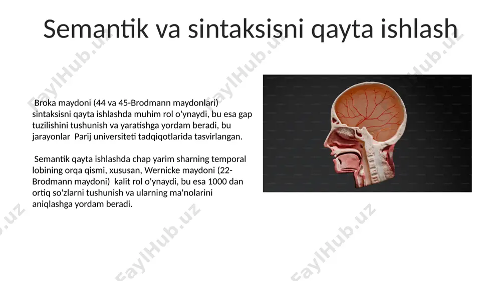 nutqning neyrofiziologik mexanizmi - Page 5