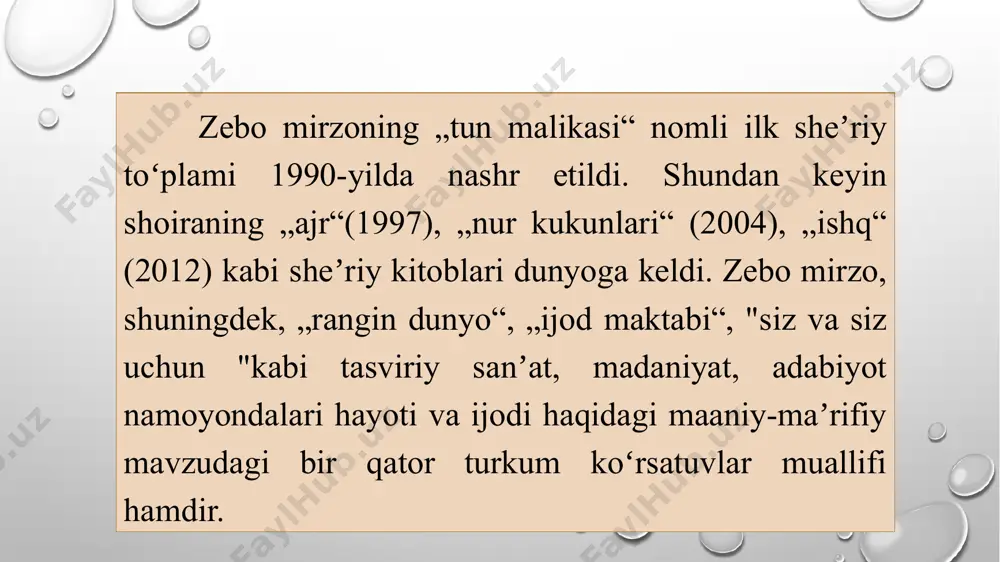 zebo mirzo - Page 3