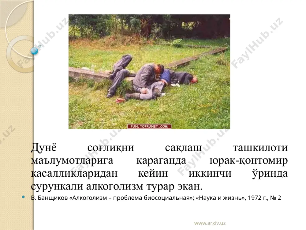озаси, хатто мастлик чақирмайдиган дозаси, (қонда 1-10 мкг мл бўлиши), инсон организмига зарарлидир. этанолнинг инсон организмига таъсири 2 фазада содир бўлади: резорбция (сўрилиш) элиминация (ташқарига чиқариш). спиртли «ичимлик» ичилгандан то қонда максимал концентрация пайдо бўлгунча ўтган вақтга – резорбциия фазаси дейилади. организмнинг индивидуал хусусиятларига қараб сўрилиш даври 2–6 соатни ташкил қилиши мумкин. www.arxiv.uz алкогол элиминацияси унинг 90–98% қисми сўрилгандан кейин бошланади ва 7-12 соат давом этади. алкоголнинг мия тўқимаси ва орқамия суюқлигидан чиқиб кетиши бошқа аъзоларга нисбатан жуда секин содир бўлади. www.arxiv.uz алкоголизм ривожланиши механизмлари: бу механизм хозирги кунгача тўлиқ ўрганилмаган. аввалига мия тўқимасида серотонин, дофамин, эндорфин каби моддаларнинг камайиши ичкиликка ружу қўйишга олиб келади, деб саналган. бу холатларнинг медикаментоз коррекцияси топилганда ҳам алкоголизмни даволаш самарали бўлмади. аммо сўнгги йилларда ўтказилган тадқиқотлар шуни кўрсатдики, мия тўқимасидаги кимёвий ўзгаришлардан ташқари унинг лимбик системасида электрик фаоллиги ва морфологиясида ҳам катта ўзгаришлар содир бўлар экан. айнан шу кимёвий, морфологик ва электрофизиологик янгиланишлар биргаликда …