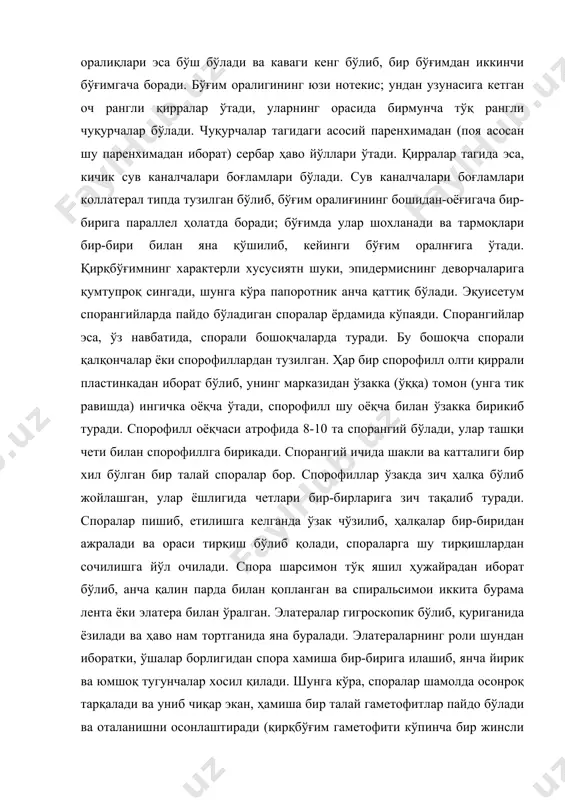 спора хамиша бир-бирига илашиб, янча йирик ва юмшоқ тугунчалар хосил қилади. шунга кўра, споралар шамолда осонроқ тарқалади ва униб чиқар экан, ҳамиша бир талай гаметофитлар пайдо бўлади ва оталанишни осонлаштиради (қирқбўғим гаметофити кўпинча бир жинсли бўлади) нам ерга тушган споралардан гаметофитлар ўсиб чиқади. қирқбўғимнинг споралари сиртдан бир-биридан фарқ қилмаса ҳам; ички тузилиши бошқача бўлади, шунга кўра бир хил споралар оталик гаметофит хосил қилса, иккинчи хил споралар оналик гаметофити хосил қилади. бироқ, бу доим сақланиб қоладиган тафовут эмас, ташқи шароит таъсири билан оталик гаметофитларида архегонийлар, оналик гаметофитларида эса антеридийлар ҳосил бўлиши мумкин. эқуисетумнинг баъзи турларида (э. арвенсе, э. лаэвигатум, э. мажусда) гаметофитлар, чамаси, кўпинча бир уйли бўлади, шу билан бирга, уларда аввал архегонийлар, кейинроқ эса антеридийлар тараққий қилади. эқуисетум гаметофити лентасимон узун-узун парраларга бўлинган кичкина яшил пластинка кўринишидадир; унинг пастки томонидан ризоидлар чиқади. оталик гаметофитлари оналик гаметофитларига нисбатан кичикроқ бўлади. гаметофит парраклари учида антеридийлар жойлашган. антеридийлар думалоқ танача кўринишида бўлиб, бир …