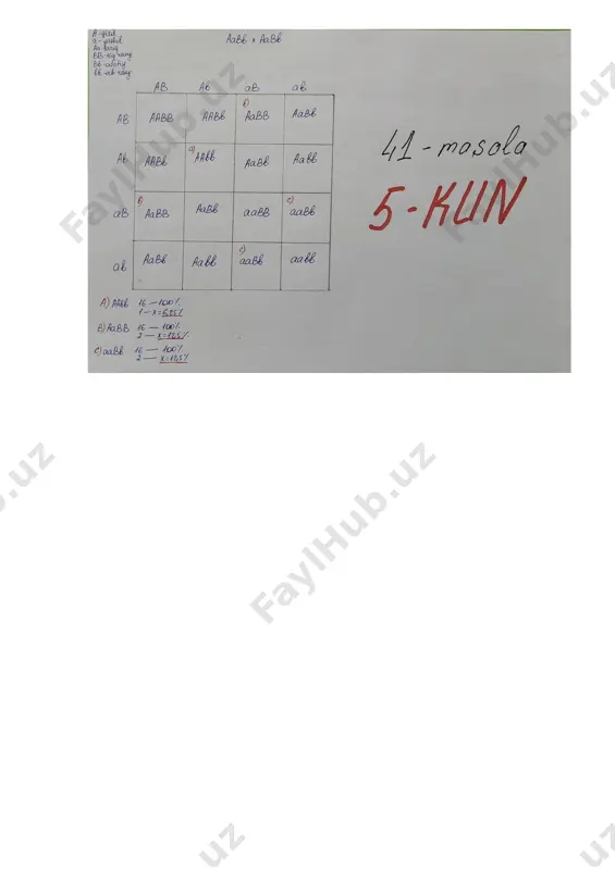 lariga ota-ona gametalarini va avlodlar genotipini yozing. berilgan ma’lumotlardan foydalanib quyidagi (a-c) topshiriqlarni bajaring. a) avlodning nech % ni och qizil rangli o’simlik tashkil qilishini aniqlang. b) avlodning necha % ni to’q sariq rangli avlod tashkil qilishini aniqlang. c) avlodning necha % ni yashil rangli avlod tashkil qilishini aniqlang. diqqat! mazkur topshiriq kengaytirilgan javobni talab etib, uning yechilish uslubi va barcha arifmetik hisob-kitob amallarini javoblar varaqasida to‘liq aks ettirish talab etiladi. 42-masala.dasht agamasida ko’z atrofida rangli xalqani bo’lishi quydagi genlar uchrashiga bog’liq-- c-qora xalqa, c1-qizil xalqa, c2-sariq xalqa bo’ishini yuzaga chiqaradi, ushbu genlarning o’zaro ta’sir kuchi quydagicha c>c1>c2. tangachalarni yirik bo’lishi (r ) mayda bo’lishi (r ) ustidan, tanasini kulrang bo’lishi (l) yashil bo’lishi (l) ustidan to’liq dominantlik qilib bitta jinsiy x xromasomada chala birikkan xolda irsiylanadi, genlar orasidagi masofa 20 m daga teng. ko’z atrofi qizil xalqali, tangachalari mayda, yashil tanali urg’ochi agama. ko’z atrofi qora xalqali, yirik tangacha, …