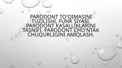 parodont to'qimalarini tuzilishi — PPTX