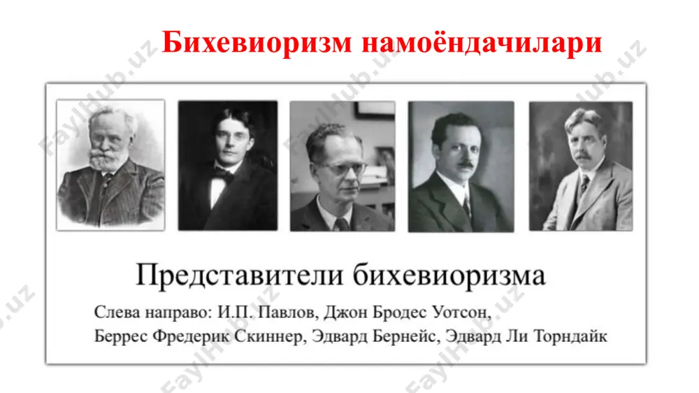 орада у бошқа профессор - жеймс aнжелл билан танишди, уостсоннинг сўзларига кўра, у тўғри фикрли инсон эди. aнхел ҳали ҳам функционал психологиядаги энг ёрқин шахслардан бири ҳисобланади. кейинчалик, университетда у жак леб билан учрашди, у билан умумий тил топди ва ҳатто у билан бирга итларнинг миясини ўрганишни бошламоқчи эди. бундай одамлар билан мулоқот жон уотсонни шахсий қарашларини анча шакллантирди. 1903 йилда у каламушларнинг хулқ-атворига бағишланган ва биринчи замонавий бўлган номзодлик диссертациясини ҳимоя қилди. 1913-йил 24-февралда уотсон биринчи бўлиб бихевиоризм ҳақида гапирди, бу эса кейинги ўн йилликларда aмерика психологиясига ёндашувни ўзгартирди. етти йил ўтгач, жон бутун дунё бўйлаб обрўга эга бўлган нуфузли жон хопкинс университетини тарк этади барча психик ҳодисалар организмнинг ташқи муҳитнинг қўзғатувчиларига реакцияси бўлган шаклларидир. кейинчалик, 1920 йилдан ню йоркка кетиб уша ердаги шахсий университетда профессор сифатида ишлаб ижод қилди. -джон уотсон қарашлари- дж.уотсон барча реакцияларни иккита асосга кўра таснифлайди: орттирилган ёки ирсий шунингдек, ички (яширин) ёки ташқи (кўринадиган). …