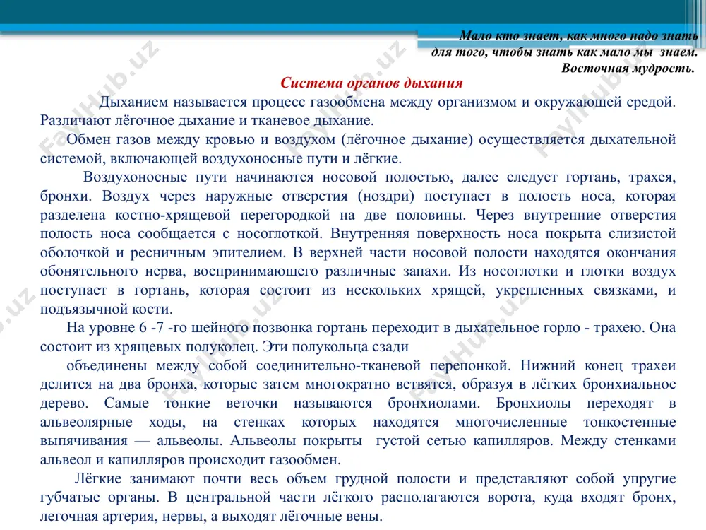 е занимают почти весь объем грудной полости и представляют собой упругие губчатые органы. в центральной части лёгкого располагаются ворота, куда входят бронх, легочная артерия, нервы, а выходят лёгочные вены. правое лёгкое делится бороздами на три доли, левое - на две доли. снаружи бронхи покрыты плеврой, которая состоит из двух листков: внутреннего, покрывающего лёгкое, и наружного, выстилающего внутреннюю полость грудной клетки. между этими листками находится плевральная полость с небольшим количеством жидкости. жидкость уменьшает трение листков при дыхательных движениях легкого. важнейший механизм газообмена у животных и человека - диффузия. при диффузии молекулы перемещаются из области их высокой концентрации в область низкой концентрации за счет их собственной кинетической энергии. однако перемещаться путем диффузии молекулы могут только на малые расстояния (до 1mm). при переносе веществ на большие расстояния в организме животных используются различные системы вентиляции и транспорта газов. в основе газообмена в лёгких лежит разность концентрации газов: концентрация кислорода поступающего в альвеолы воздуха выше, …