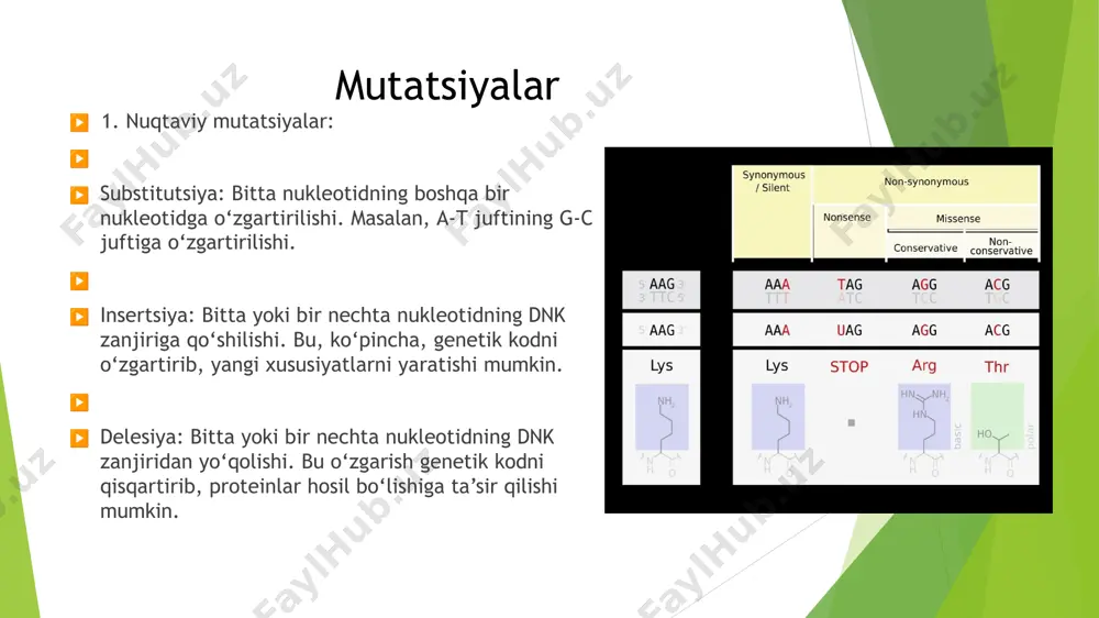 genetik buzulishlar - Page 4