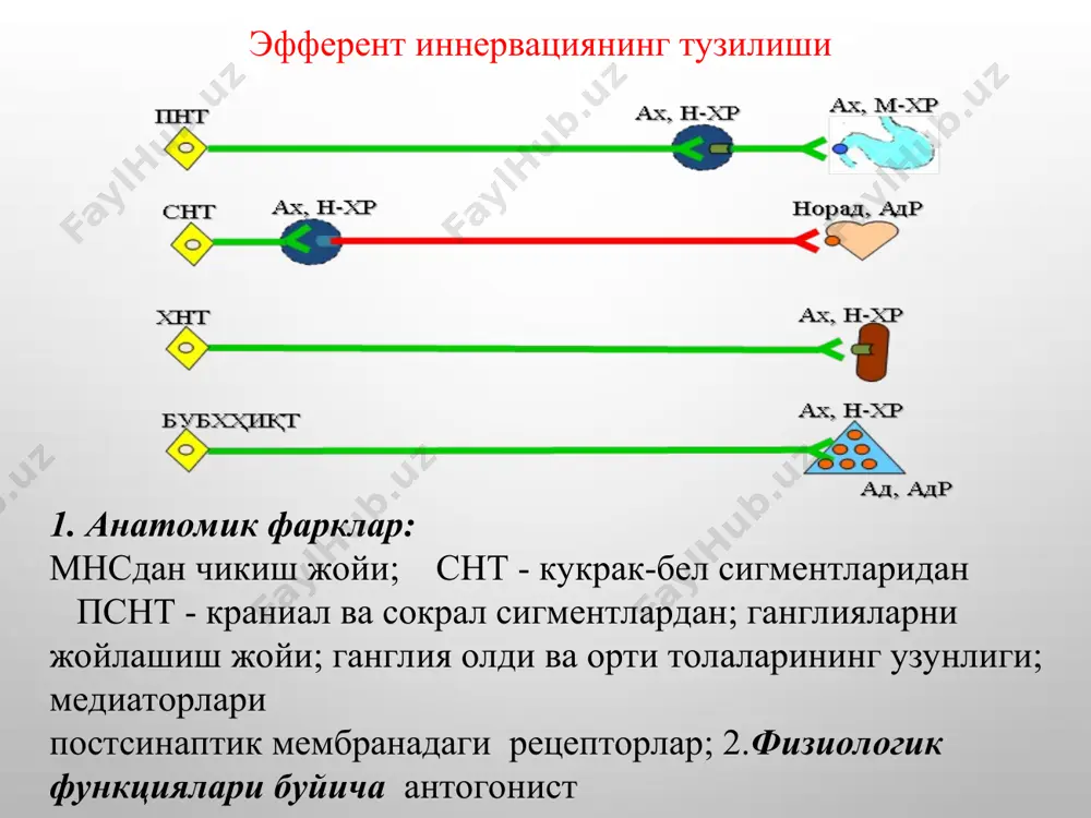 нали очилади, кўзнинг ичидан суюқлик оқиб чиқиш ошади, кўзнинг ички босими пасаяди, киприксимон мушак қисқаргани учун цинн боғлами бўшашади ва кўз гавхари қабариқ-шаклига киради. бунда аккомадация спазми вужудга келиб, яқин жисмларни аниқ кўради. сўлак-безларининг фаоллиги ошади, суюқ ва кўп сўлак ажралади. бронхларнинг секрецияси ортиб, силлиқ-мушаклари қисқаргани учун нафас олиш қийинлашади. брадикардия, қон босимини пасайиши ва юрак ўтказувчанлиги сусайиши кузатилади. меъда-ичак тракти безларининг секрецияси ва перистальтикаси ошади (диария), ўт пуфаги ва ўт йўллари қисқаради. пешоб пуфаги, бачадон ва тўғри ичак қисқаради, хоҳишидан ташқари пешоб ажралиши ва дефикация бўлиши мумкин. ах симпатик нерв ганглияларини ҳам қўзғатади, лекин бунда келиб чиқувчи ўзгаришлар м-холиномиметик таъсиридаги ўзгаришлар соясида қолади. кўндаланг тарғил мускулларида ах таъсирида қўзғалиш импульсларини ўтказилиши ортади. n-бета-карбамоилоксиэтил)-триметиламмоний хлорид, c6h15cln2o2 : карбахолин табл.-0,001 г; ампула -1 мл 0,01% ва 0,025% эритмаси. катталарга ичишга: 0,0005—0,001 г (0,5—1 мг), т/о ва м/о 0,0001—0,00025 г (0,1—0,25 мг) 2—3 махалдан кунига. в/и 0,00005 г—0,05 глаукомада: 0,5—1 % кўзга …
