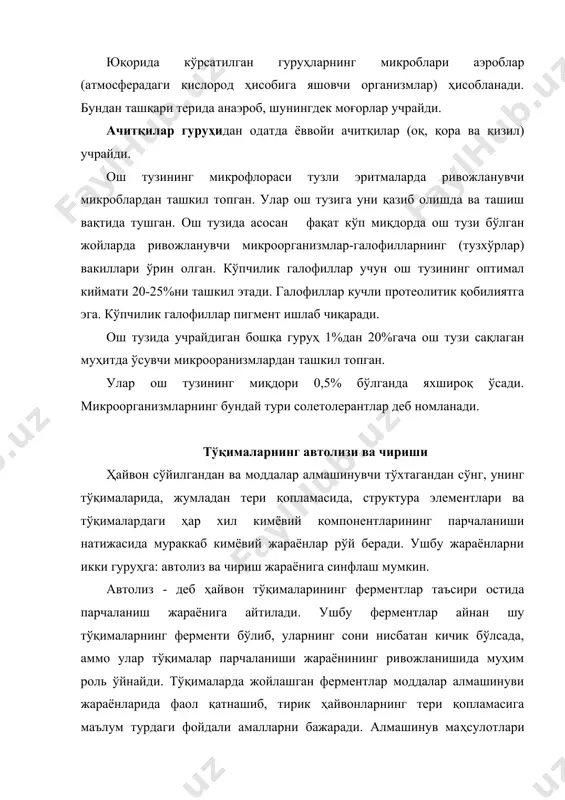 ималардаги ферментлар (протеазалар, карбогидразалар, эстеразалар ва бошқалар) парчаланиш реакцияларини тезлаштиради. шунингдек тўқималардан парчаланиш маҳсулотларининг чиқарилмаслик ҳолати ҳам, юқоридаги реакциянинг тезлашишига кўмаклашади. органик кислоталарнинг йиғилиши натижасида муҳитнинг реакцияси ўзгаради, рн кўрсатгичи пасаяди, яъни кўпгина протеазаларнинг таъсири учун оптимал ҳисобланган қийматга эришади. (катепсиннинг оптимал таъсири рн 4-5) . автолиз фақат тўқималардаги оқсилларни парчалаш билан чекланмайди, ферментлар таъсирида углеводлар, ёғлар ва бошқа органик бирикмалар ҳам парчаланади. ферментларнинг таъсири натижасида бир қатор охирги маҳсулотлар ҳосил бўлиши билан борадиган тўқималарнинг чуқур парчаланиши содир бўлади. бунда тўқималарнинг кимёвий таркиби ва структураси ўзгаради. ферментлар таъсири остида аввало, чидамлилиги нисбатан кичик оқсиллар, яъни эпидермиснинг шиллиқ қаватини ва соч халтачаларининг ҳужайрали элементларини ҳосил қилувчи оқсиллар парчаланади. бунинг окибатида соч тери дермасидан осонгина ажралишни бошлайди ва «сочнинг тўкилувчанлиги» каби нуқсоннинг ҳосил бўлишига олиб келади. тери ферментларининг таъсири остида автолиз жараёнининг чуқур ривожланиши фақат асектик шароитларда, яъни микробларни ўлдириш ва уларнинг жароҳатга тушишини олдини олишга қаратилган чора тадбирлар кўрилмаганда содир бўлиши …
