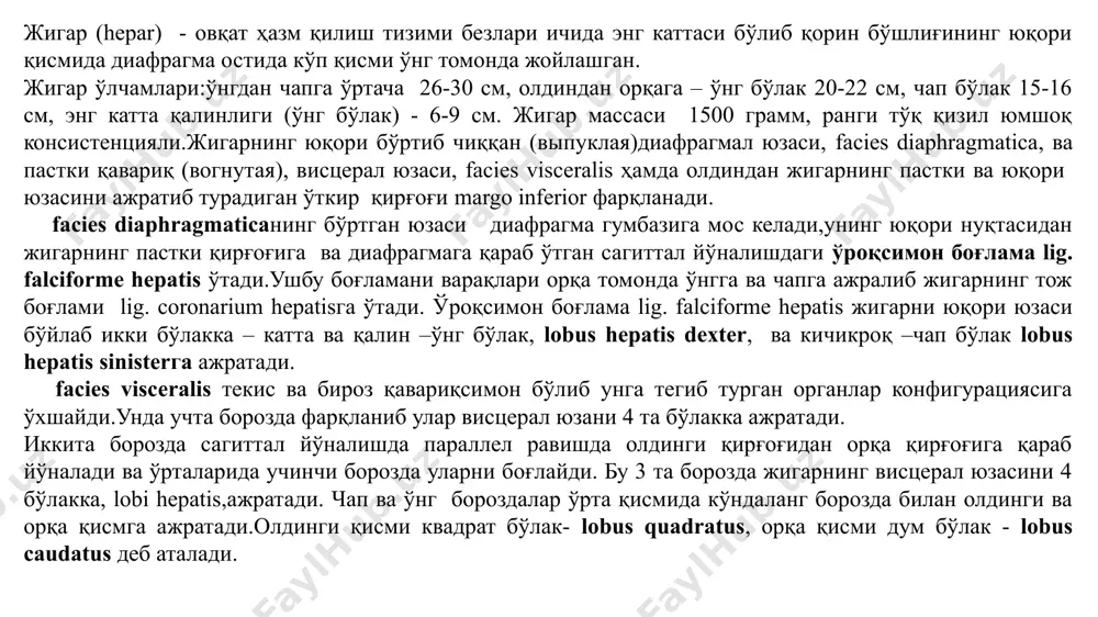 iv сегментларининг парамедиан сектори; v, viii – ўнг бўлак v ва viii сегментларининг парамедиан сектори; vi, viii – ўнг бўлак vi ва vii сегментларининг латеральный сектори. жигар сегментлари; висцерал юзаси; полихром коррозионли препаратнинг фотосурати. i – дум бўлаги (i сегмент); ii – чап бўлак ii сегменти латерал сектори; iii, iv –чап бўлак iii ва iv сегментларининг парамедиан сектори; v, viii - ўнг бўлак v ва viii сегментларининг парамедиан сектори; vi. vii - ўнг бўлак vi ва vii сегментларининг латеральный сектори. жигарни сероз қават, tunica serosa,қоплаб туради ва ушбу қават ўз навбатида сероз ости асоси, tela subserosa, ва фиброз қават, tunica fibrosaни қоплаб туради.жигар дарвозаси орқали ва жигарнинг incisura lig. teretis орқа охири орқали жигар паренхимасига бириктирувчи тўқима – томиролди фиброз капсуласи, capsula fibrosa perivascularis, киради.ушбу бириктирувчи тўқима томирлар бўйлаб ички томондан жигарнинг фиброз капсуласигача етиб боради.жигарнинг бириктирувчи тўқимали каркаси шундай ҳосил бўлади ва ушбу каркаснинг ячейкаларида жигарнинг бўлакчалари жойлашади. жигарнинг …