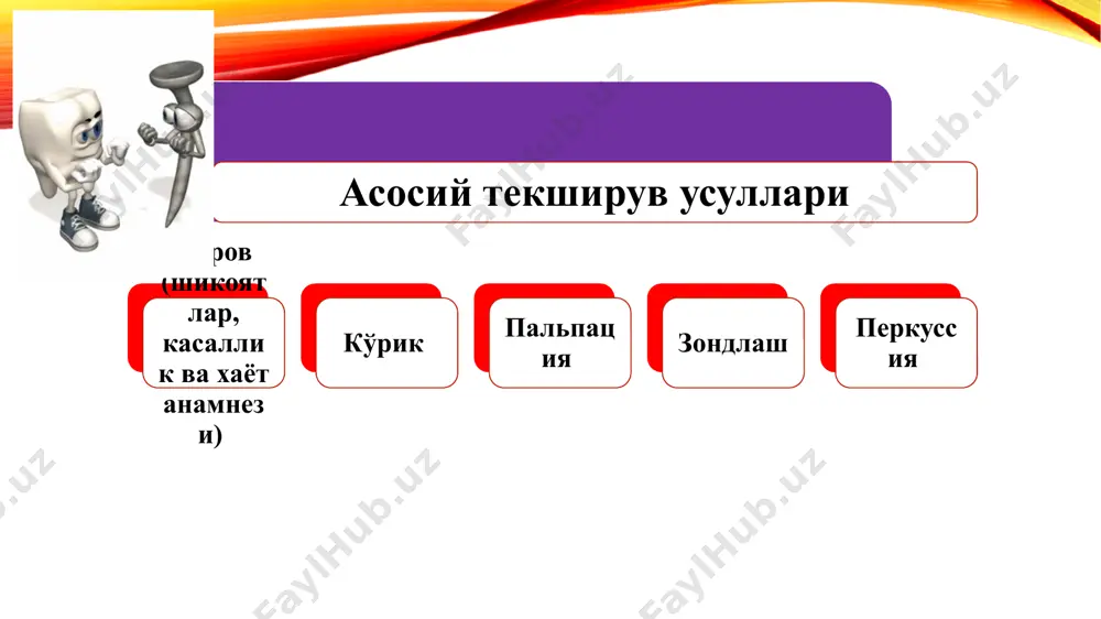ма кесигига нисбатан пайдо бўладиган оптик феномен бўлиб ҳисобланади. ретциус чизиқлари – кўп холларда эмалнинг бўлама кесигида ингичка, параллел, сарғиш-жигарранг ёки жигарранг тусдаги чизиқлар кўринади. улар эмаль призмаларининг даврий ўсиши ва охакланиши натижасида вужудга келади. эмаль пластинкалари (ламелла), тутамлари ва урчуқлари. эмалнинг органик матрикси бир текисликда эмал юзасида тарқалиб, айрим сохаларда ўзига хос структуралар вужудга келади. бу сохалар эмалнинг етарлича минераллашмаган сохалари бўлиб, бир-биридан шакли ва эмалдаги жойлашган ўрни билан фарқланади. эмаль пластиналари (ламеллалар) – эмал-дентин чегарасидан бошланиб, эмаль юзасигача давом этади. улар ингичка ёриқ кўринишида бўлади. ламеллаларни бўйин сохада кўпроқ кўриш мумкин. ламеллалар тиш чиққунга қадар хам аниқланади, бу эмални ривожланишидаги камчиликлардан келиб чиқади. тиш чиққандан кейин уларнинг сони ортади. эмал пластинкаси л т л эмаль урчуқлари – эмаль-дентин чегарасидан чиқиб, эмалнинг 1/3 қисмига кириб борадиган ингичка “кўр каналлар” булиб ҳисобланади. уларни ичида одонтобласт ўсимасининг охири ёки унинг деградация хосиласи бўлади. эмаль урчуқлари асосан моляр ва премоляр тишларнинг чайнов …