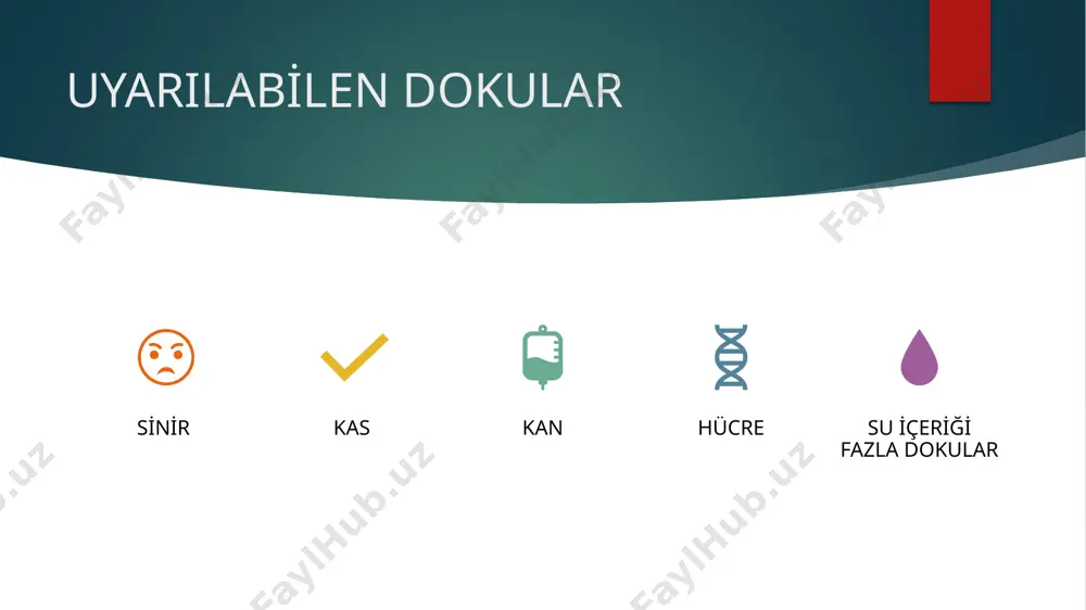 motor noktalardan stimülasyon almak amaçlı motor noktadan uygulanır. kasta kontraksiyon gözlenir. 1 seansta maximum 90 kontraksiyon alınmalıdır. 30-30-30 şeklinde ya da 45-45 aralıklarda. bi̇polar tekni̇k i̇ki̇ plak elektrot : grup stimülasyonu istendiğinde ya da büyük kaslara uygulama yaıldığında kullanılır. origo ve insersiyoya plak elektrotlarla uygulanır. kasın başlangıç noktasına (+) bitim noktasına (–) elektrot yerleştirilir. 200 kontraksiyon alınır. uygulama toplam 20 dk (10 dk uyarı- 5 dk dinlenim-5dk uyarı). i̇ki̇ kalem elektrot : derin kaslarda motor nokta stimülasyonu şeklinde uygulanır. endi̇kasyonlari denerve kaslarin tedavi̇si̇nde kas tonusunu artirmak gereken durumlarda dolaşim bozukluklarinda düz akımın modifiye şekilleri kullanılabilir. uygulama sırasında tedavi bölgesinde metal bulunmaması hastaya tedavinin açıklanması tedavi bölgesine uygun tekniğin seçilmesi gerekir. image6.jpeg image17.png image2.png image3.png image4.png image5.png /docprops/thumbnail.jpeg