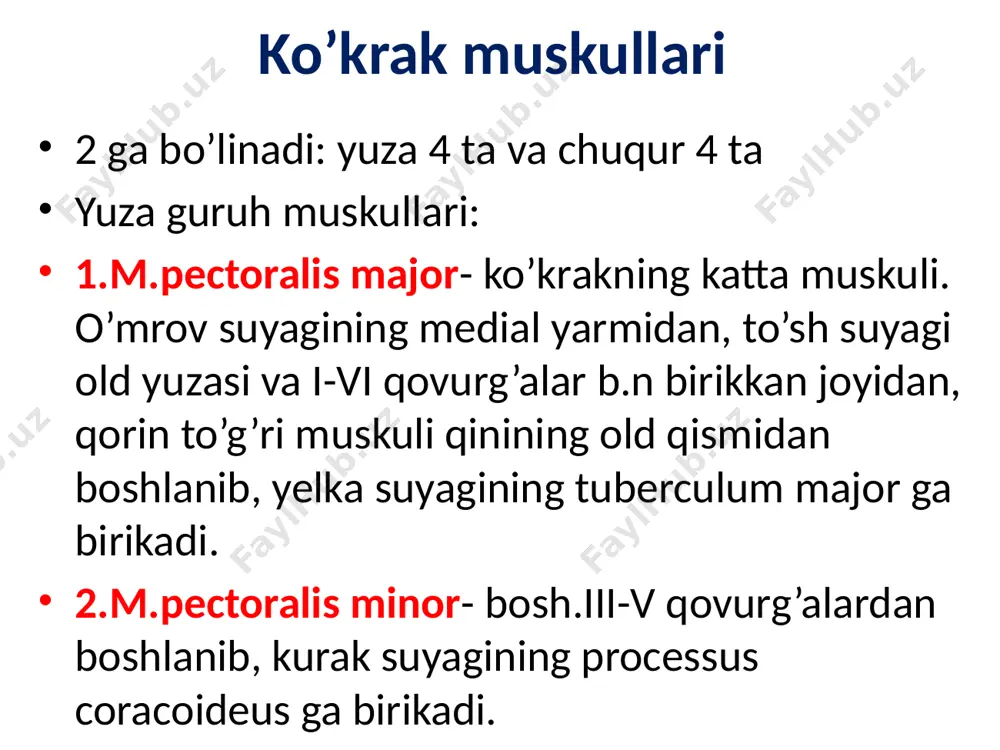 . bu teshik qorin bo’shlig’i tomonga qaragan. chov kanalidan ayollarda bachadonning yumaloq boylami lig. teres uteri, erkaklarda urug’ tizimchasi - funniculus spermaticus o’tadi. yelka kamari muskullari. m.deltoideus - deltasimon muskul. o’mrov suyagining lateral yarmidan, kurak suyagining akromionidan boshlanib, yelka suyagining tuberositas deltoideaga birikadi. m.supraspinatus et m.infraspinatus – kurak suyagidagi shu nomli shu nomli chuqurchalarni to’ldirib turadi va yelka suyagining tuberculum majorga birikadi. m.teres major – katta yumaloq muskul. kurak suyagining angulus inferior dan boshlanib, yelka suyagining crista tuberculum minoris ga birikadi. m.teres minor – kichik yumaloq muskul. kurak suyagining margo lateralis dan bosh-b, crista tuberculi majoris ga birikadi. m.subscapularis – kurak osti muskuli. kurakning qovurg’alarga qaragan yuzasidan bosh-b, yelka suyagining kichik do’mbog’iga birikadi. qo’ltiq osti chuqurchasi – fossa axillaris qo’lni tanadan uzoqlashtirganda aniq ko’ramiz. devorlari: oldindan – m.pectoralis major. orqadan – m.latissimus dorsi. medialdan – m.serratus anterior. lateraldan – m.biceps brachii. 3 tomonli teshik – foramen trilacerum. chegaralari: yuqoridan- m.subscapularis …