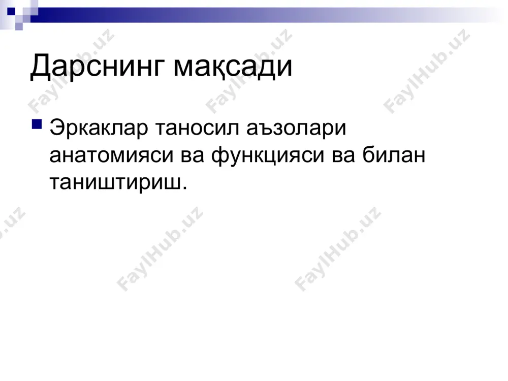 жинсий аъзоларининг анатомияси. оралиқ. - Page 2