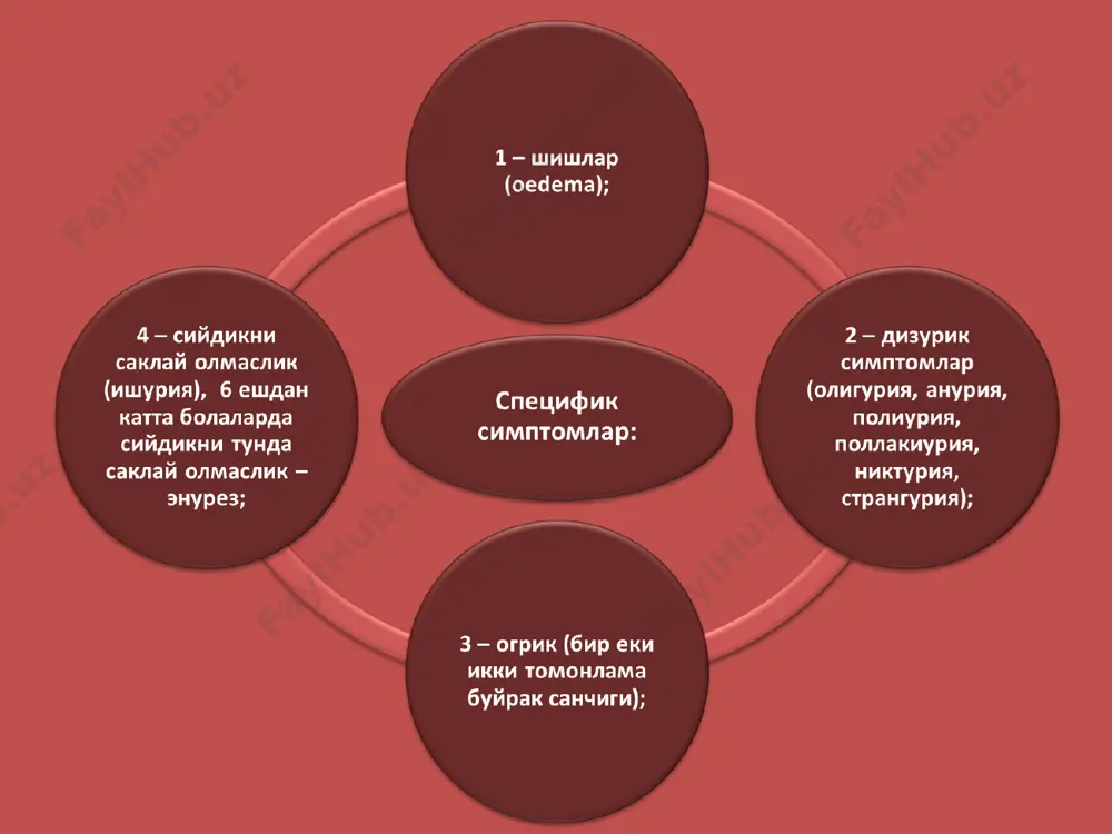 йли юзага келади. буйрак етишмовчилиги синдроми (бес) бес—буйракдаги огир жарохатлар туфайли юзага келиб, гомеостаз курсаткичларини бузилиши хамда организмда азотемия, сув-электролитлар ва кислота-ишкор мувозанатини кескин бузилишига олиб келувчи патологик жараендир. буе сабаблари: буе( опн) аломаталари бсе(хпн) сабаблари: уткир гломерулонефрит (уг) – иммун асаллик булиб хар иккала буйрак шикастланади. уг одатан уткир инфекция в- гемолитик стрептококк (мисол; ангина)хуружидан 1-2 хафта утгач юзага келади. у турли ешдаги кишиларда, купрок эса 40 ва ундан ешларда тараккий килиши мумкин ва 80% холларда согайиш билан тугайди. колган 20% холларда у сурункали тус олиши мумкин. этиологик омиллар: клиник аломатлари: сурункали гломерулонефрит (сг) одатан йил давомида тулик даволанмаган уг заминида юзага келади. организмда кушимча сурункали инфекция учогини (кариес, гайморит, холецистит, тонзиллит) мавжуд булиши ушбу хасталик келиб чикишида узига хос туртки вазифасини бажаради. баъзан у сурункали бирламчи касаллик сифатида намоен булади. узок йиллар давом этувчи сг буйракларни бужмайишига ва шу билан биргаликда беморларни улимига сабаб булиши мумкин.. уткир пиелонефрит …