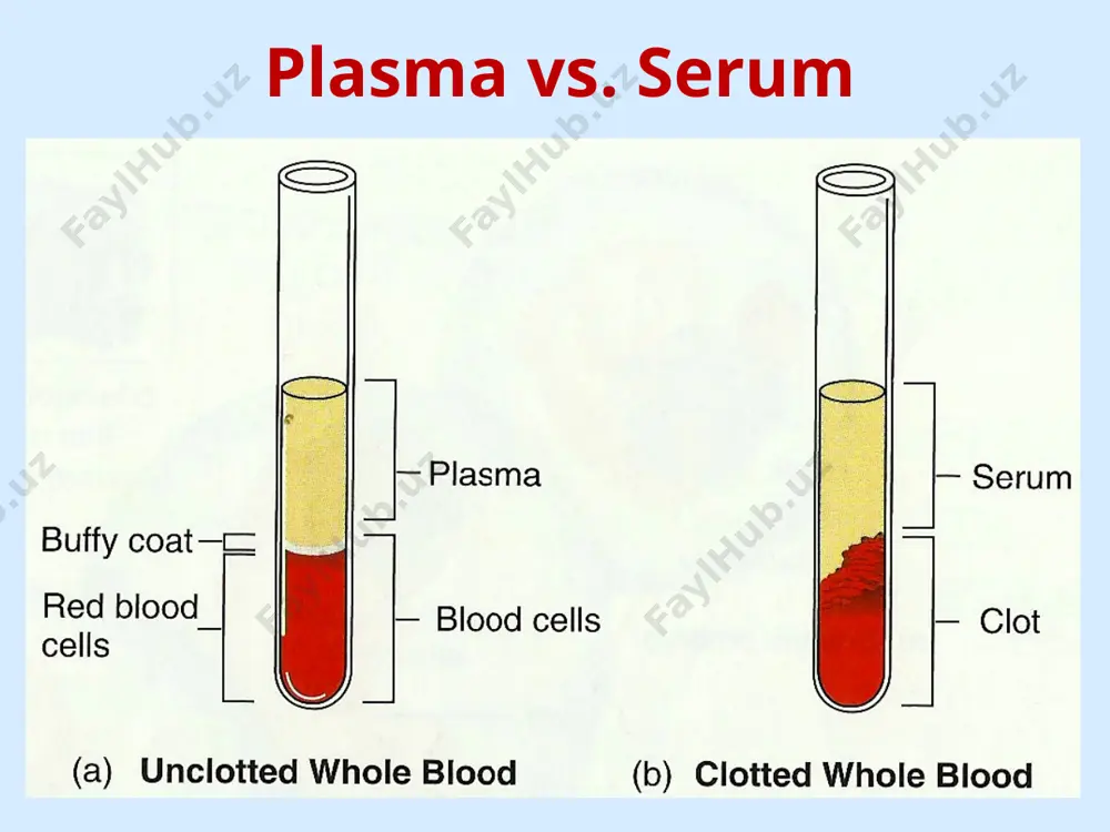 blood biochemistry - Page 4