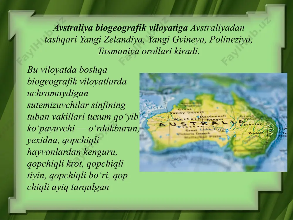 lishiga qaramay, bu viloyatda sutemizuvchi hayvonlarning boshqa viloyatlarda uchramaydigan birorta ham turkumi yo‘q. bu viloyatda tuyoqli hayvonlardan — ot, saygak, yelik, kabarga, tog’ echkisi, los, yovvoyi qo’y, ikki o’rkachli tuya, tog’ kiyigi; yirtqichlardan — qo’ng’ir ayiq, bo’ri, tulki, qunduz; hasharotxo’rlardan — vixu- xol; qalqonqa notlilardan — ko’rshapalaklar; o’simliklardan ninabarglilar — archalar, paxta, qora qarag’ay, qarag’ay, yopiq urug’lilardan — eman, terak, tol, akatsiya, gledichiy, sho’raguldosh, butaguldosh, soyabonguldosh, murakkabguldosh, g’allaguldoshlarga kiruvchi ko’plab o’t o’simliklar o’sadi. neoarktik biogeografik viloyatiga shimoliy amerika, grenlandiya, bermud va aleut orollari kiradi. neoarktik biogeografik viloyatining o’ziga xos hayvonlariga sixshox kiyik, tog’ echkisi, ilvirs, muskusli qo’y, badbo’y kaltadum, yenot, daraxt jayralarini kiritsa bo’ladi. biogeografik viloyatlardagi hayvonot va o’simliklar olamining o’xshashlik va farqi chunki har bir biogeografik viloyatda xordali hayvonlar tipi, ochiq va yopiq urug’li o’simliklar tipi, sutemizuvchilar, qushlar, sudralib yuruvchilar, suvda va quruqlikda yashovchilar, bir pallali, ikki pallali o’simliklar sinflarini uchratish mumkin. biogeografik viloyatlardagi hayvon va o’simliklar orasidagi tafovut …