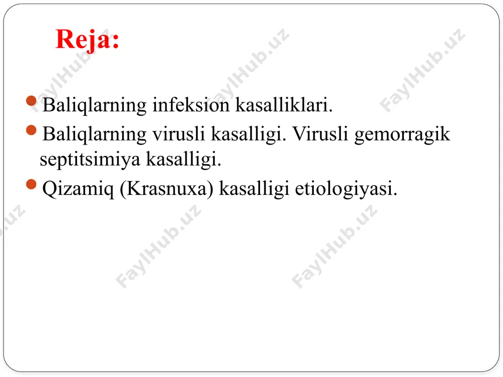 kishadi va etilgan virusni hosil qiladi. baliqlarning virusli kasalliklari kontakt yo‘li bilan yoki yashash muhiti orqali tarqaladi. ayrim kasalliklarda esa ularning tarqalishi tashuvchilar orqali, masalan, umurtqasiz qon so‘ruvchilar orqali (zuluk, qisqichbaqa orqali) amalga oshadi. касаллик қўзғатувчиси касаллик қўзғатувчиси – бу рнк вирусли қўзғатувчилар. женсен (1965) йилда биринчи бўлиб ушбу вирусни ажратиб олган ва уни сунъий култура тўқимасида (озиқавий муҳитда) ўстиришга эришган ва ушбу вирусни даниянинг эгтвед шахри шарафига эгтвед-вирус деб номланган. вирусли геморрагик септицемия билан касалланган эпизоотологик маълумотлар вгс касаллиги билан асосан форел (радужная) турдаги балиқлар касалланади. табиий шароитда форел (дарё форели), китлар, хариус ҳамда пали турдаги балиқлар касалланади. касаллик эпизоотия кўринишда кечганида ўлим 9-78% ташкил қилади. иссиқ пайтларда касаллик латент кўринишда кечади, бироқ балиқларнинг озиқланиши ва сақлаш шароити зоогигиеник талабларга жавоб бермаган тақдирда касаллик ёзда ҳам авж олиб клиник белгилар билан кечади. вгс бир ёшгача бўлган катталиги 5-7 см бўлган фореллар зарарланади. малки ва сеголеткалар ҳамда катта ёшдаги балиқлар …
