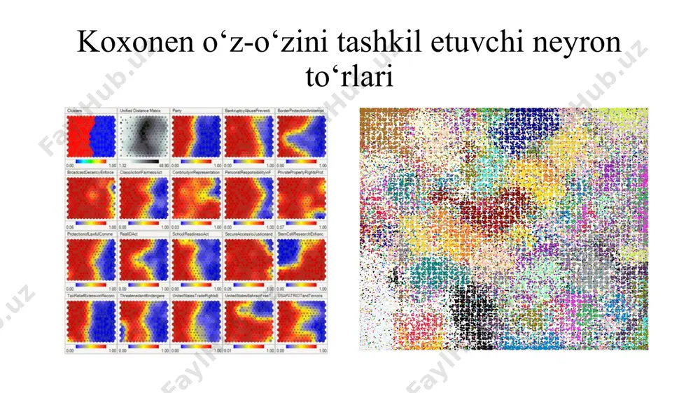 koxonen o‘z-o‘zini tashkil etuvchi neyron to‘rlari - Page 4