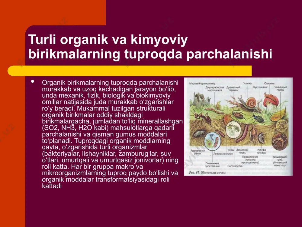 ro‘y beradi. oqsillarning parchalanishi. mikroorganizmlarning, jonivorlar va o‘simliklar tarkibidagi oqsillar proteaza fermentlari ishtirokida aminokislotalarga parchalanadi. uning bir qismi mikroorganizmlar tomonidan o‘zlashtiriladi, qolgan qismi parchalanib, amin shaklida yo‘qoladi. nobud bo‘lgan organizmlardagi oqsillar tuproqdagi azotning asosiy manbaidir. o‘simlik qoldig‘ida odatda 1 foizgacha azot saqlanib, s:n nisbati 50 gacha bo‘lishi mumkin. ammo qoldiqlarning qayta o‘zgarishi natijasida tuproq azot bilan boyib boradi va s:n nisbati ham qisqaradi (1:10 – 1:12). shuning uchun ham s:n nisbati organik moddalarning gumusga – aylanish darajasini aniqlashga imkon beruvchi bilvosita ko‘rsatkich hisoblanadi.mono va disaharidlarning o‘zgarishi. tirik o‘simlik materiallari, ularning qoldiqlari va to‘shamalarida mono va disaharidlar miqdori 4 foizdan, foizning o‘ndan bir ulushiga qadarli o‘zgarib turadi. odatda disaharidlar monosaharidlarga nisbatan ko‘proq bo‘ladi. bijg‘ituvchi va boshqa mikroorganizmlar qand moddalarni ko‘p o‘zlashtirishi natijasida uning miqdori ham keskin o‘zgaradi. oqsil va qand moddalari tuproqda tez parchalanadi. kraxmal gidrolizi amilaza fermentlari ishtirokida boradi. o‘simlik qoldiqlarining qayta o‘zgarishi bilan kraxmal miqdori tez va keskin kamayishi …