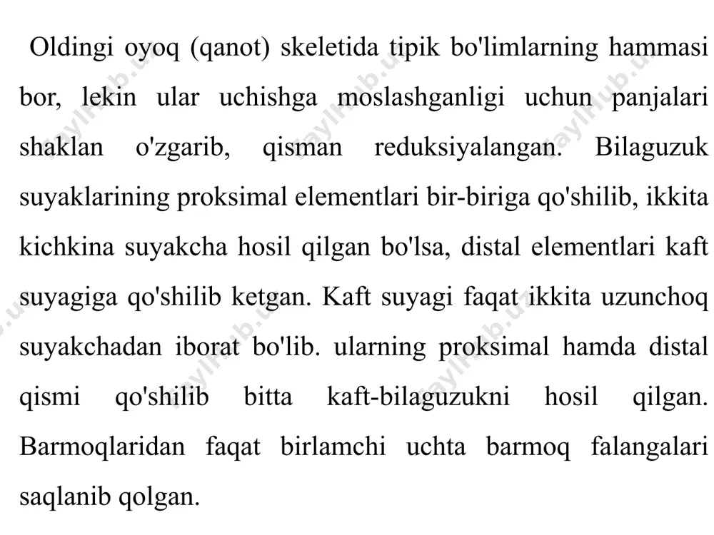 i. kaptarda dumg'aza umurtqalari 14 ta. bo'yin umurt-qalarining soni har xil qushlarda turlicha, ya'ni 11 tadan 25 tagacha bo'ladi (to'tiqushlarda 11 ta, o'rdak va oqqushlarda 23-25 ta, kaptar va qarg'alarda 14 ta). ikkita oldingi bo'yin umurtqalari amniotalar guruhiga kiruvchi boshqa umurtqalarnikiga o'xshash - atlant va epistro-feydan iborat. ko'krak umurtqalari 3 tadan 10 tagacha bo'ladi (kaptar va qarg'ada 5-6 ta), ular harakatchan bo'yin umurtqalariga qarshi o'laroq bir-biriga va dumg'azaga qo'shilib ketgan kamar va oyoqlar skeleti. qushlarning yelka kamari uch juft: kurak, korakoid va o'mrov suyaklaridan tashkil topgan. kurak qushlar uchun xarakterli «qilich» shaklida bo'lib, u ko'krak qafasining ustida turadi va korakoid bilan qo'shiladi. korakoid katta va baquvvat suyakdan iborat. uning bir uchi yelka kamariga, ikkinchi uchi esa to'sh suyagiga harakatchan tarzda qo'shilgan. ikkita o'mrov suyagining pastki qismi bir-biriga qo'shilib, qushlar uchun xarakterli bo'lgan toq yoy suyagi yoki ayri suyakni hosil qiladi. erkin harakatchan qanot skeletlariga katta va baquvvat yelka suyagi, tirsak …