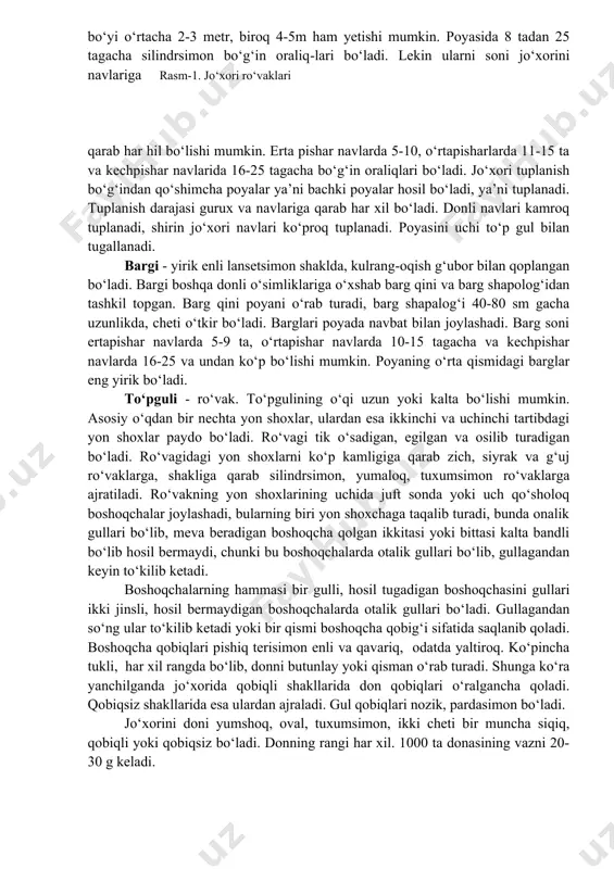 0 sm gacha uzunlikda, cheti o‘tkir bo‘ladi. barglari poyada navbat bilan joylashadi. barg soni ertapishar navlarda 5-9 ta, o‘rtapishar navlarda 10-15 tagacha va kechpishar navlarda 16-25 va undan ko‘p bo‘lishi mumkin. poyaning o‘rta qismidagi barglar eng yirik bo‘ladi. to‘pguli - ro‘vak. to‘pgulining o‘qi uzun yoki kalta bo‘lishi mumkin. asosiy o‘qdan bir nechta yon shoxlar, ulardan esa ikkinchi va uchinchi tartibdagi yon shoxlar paydo bo‘ladi. ro‘vagi tik o‘sadigan, egilgan va osilib turadigan bo‘ladi. ro‘vagidagi yon shoxlarni ko‘p kamligiga qarab zich, siyrak va g‘uj ro‘vaklarga, shakliga qarab silindrsimon, yumaloq, tuxumsimon ro‘vaklarga ajratiladi. ro‘vakning yon shoxlarining uchida juft sonda yoki uch qo‘sholoq boshoqchalar joylashadi, bularning biri yon shoxchaga taqalib turadi, bunda onalik gullari bo‘lib, meva beradigan boshoqcha qolgan ikkitasi yoki bittasi kalta bandli bo‘lib hosil bermaydi, chunki bu boshoqchalarda otalik gullari bo‘lib, gullagandan keyin to‘kilib ketadi. boshoqchalarning hammasi bir gulli, hosil tugadigan boshoqchasini gullari ikki jinsli, hosil bermaydigan boshoqchalarda otalik gullari bo‘ladi. gullagandan …