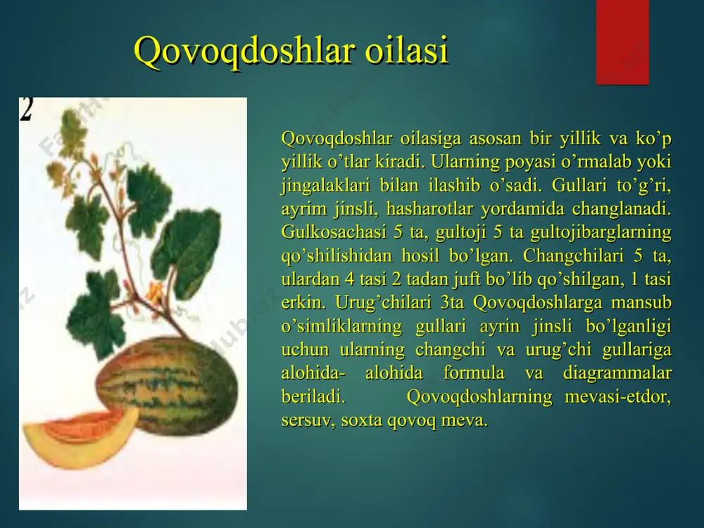 qovoqdoshlar oilasi o'qitish materiali - Page 5