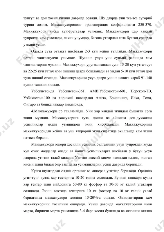 берилади. угит махсус угитлагич суз, нку, оук, аку-4,6 машиналарида берилади. маккажухори экиш учун ер кузда шудгор килинади. тупрокни хусусиятига караб шудгорлаш чукурлиги 28-30 см ва ундан хам чукур булиши мумкин. куп йиллик бегона утлар босган далаларда кузги шудгорлашдан сунг, ричагли, пружинали борона-культиватор ёки чизел ёрдамида илдиз колдиклари йигиб олинади. шурланган ерларда тупрок шури ювилади. шудгор чимкиркарли ёки икки ярусли плуг ёрдамида утказилади. экишга кадар шудгорда 'бегона утлар пайдо булса бахорда 8-10 см чукурликда культивация килинади, кейин бороналанади ва кетма-кет мола босилади. 2. хозирги вактда уругни махсус заводларда тайёрланиб хужаликларга экиш учун берилади. лекин уругликни хар бир хужаликда хам тайёрлаш мумкин. бу холда экиш давригача маккажухори уруглари сутада сакланиши керак. саклаш даврида буларнинг намлиги 14-15% ошмаслиги керак. экишга 10-15 кун колганда уруглар суталардан янчиб олинади. экиш учун сутанинг урта кисмидаги донлар ишлатилади. сутанинг остки ва устки кисмидаги донлар майда ва бир хил катталикда булмаганлиги сабабли уларнинг униб чикиш даражаси паст булади. …