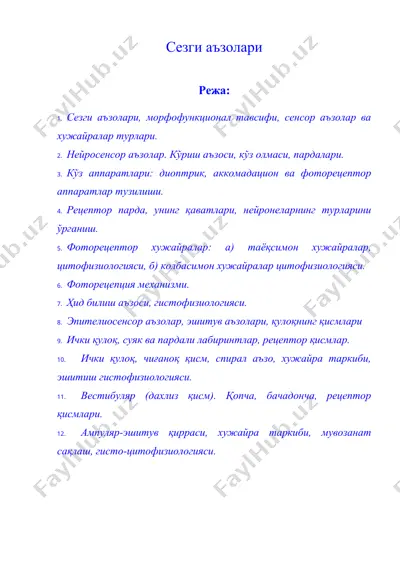 сезги аъзолари — DOC