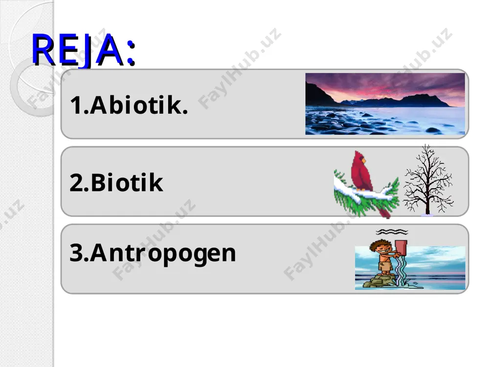 ekologik omillar tasnifi - Page 3