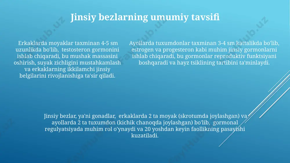 k tos suyagida, bachadonning yon tomonlarida joylashgan. ularning asosiy vazifasi estrogen va progesteron kabi gormonlarni ishlab chiqarishdan iborat. jinsiy gormonlarning vazifalari ayollarda estrogen gormoni, reproduktiv tizimning normal ishlashini ta'minlash bilan bir qatorda, 20-30% gacha yurak-qon tomir kasalliklarining rivojlanish xavfini kamaytiradi, bu esa xususan, 50 yoshdan keyingi ayollar uchun muhim ahamiyatga ega. erkaklarda testosteron gormoni mushak massasi va kuchini oshirishda muhim rol o'ynaydi, dunyoning ko'plab mamlakatlarida o'tkazilgan tadqiqotlar shuni ko'rsatadiki, bu gormonning yetarli darajasi 40-50 yosh oralig'ida jismoniy faoliyatni yaxshilashga yordam beradi. jinsiy gormonlar, masalan, testosteron va estrogen, suyak zichligini saqlashda muhim rol o‘ynaydi, 30 yoshdan keyin suyak massasining yo‘qolishiga qarshi kurashishda yordam beradi va shu bilan osteoporozni oldini olishga hissa qo'shadi. e'tiboringiz uchun rahmat @taqdimot_robot